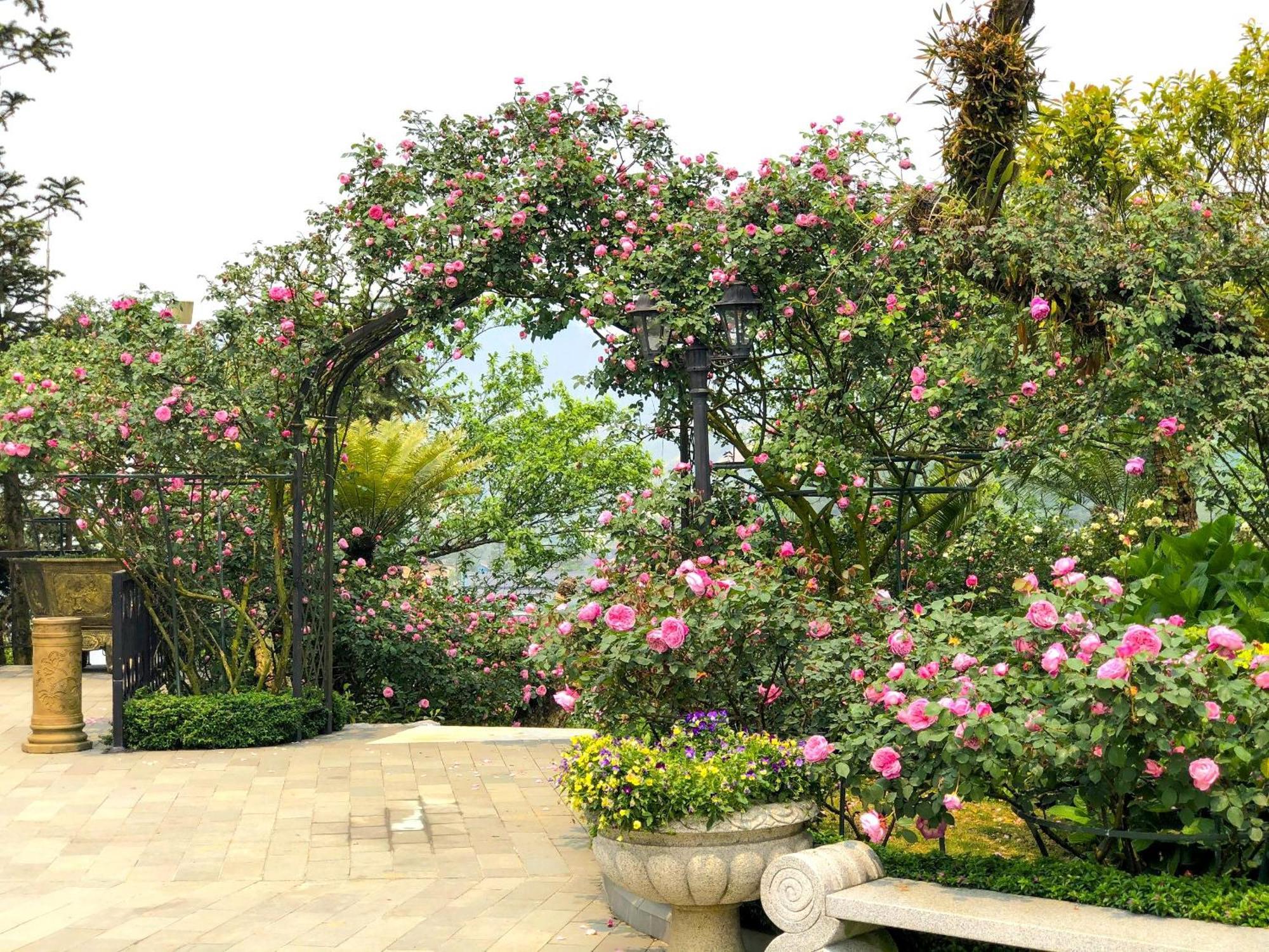 Silk Path Grand Sapa Resort & Spa Kültér fotó Rose Garden